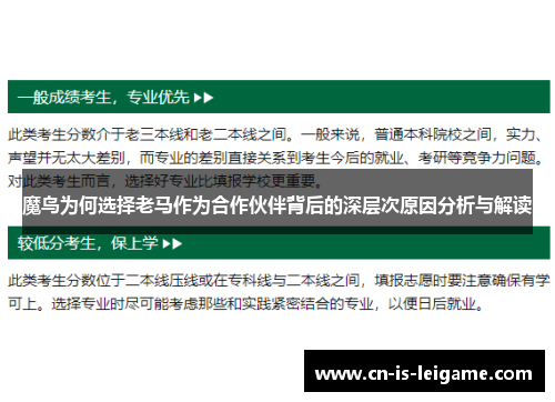 魔鸟为何选择老马作为合作伙伴背后的深层次原因分析与解读 魔鸟为何选择老马作为合作伙伴背后的深层次原因分析与解读